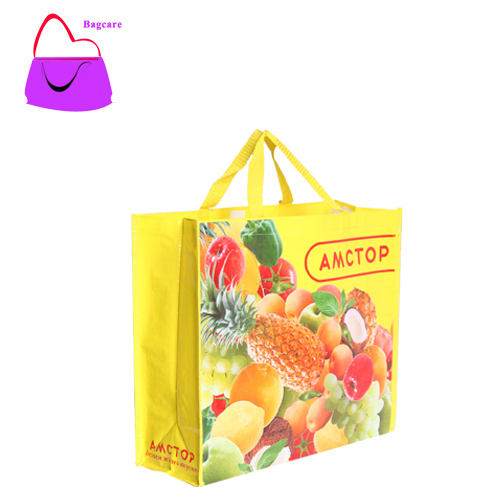 Non Woven Matte Laminated Shopping Bag in China